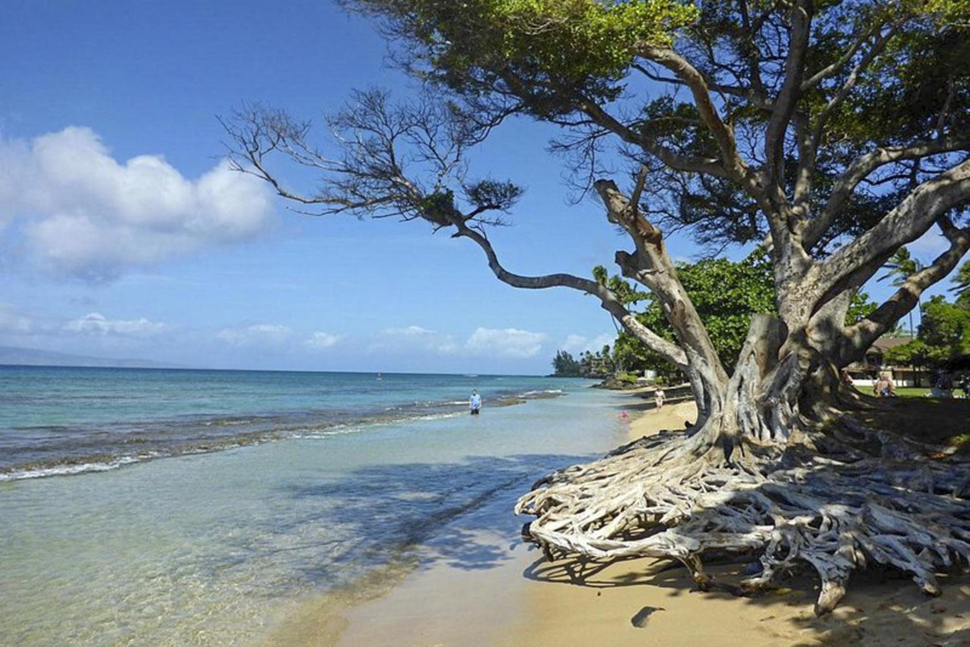 Polynesian Shores 118 Kahana Exteriér fotografie
